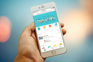 北京中聯(lián)科技系統(tǒng)軟件APP小程序建設(shè)設(shè)計定制開發(fā)公司